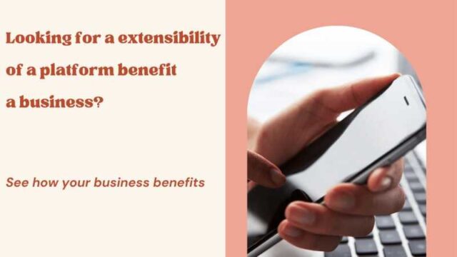 How Can the Extensibility of a Platform Benefit a Business